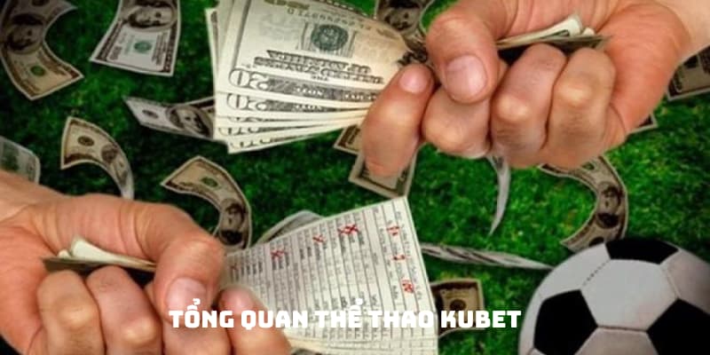 Tổng quan về sân chơi